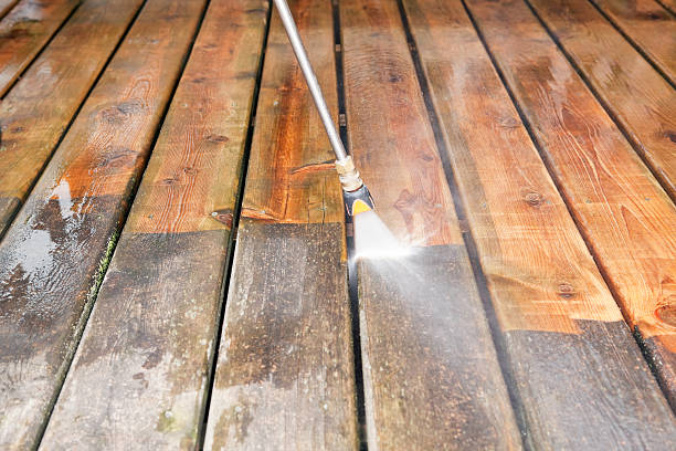 Best Animal Enclosure Cleaning  in Morgans Point Resort, TX